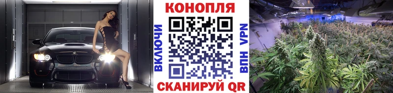 Виды наркотиков купить Азов Героин  АМФ  Мефедрон  Альфа ПВП 