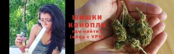 молекула духа Осинники