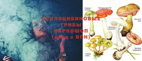 молекула духа Осинники