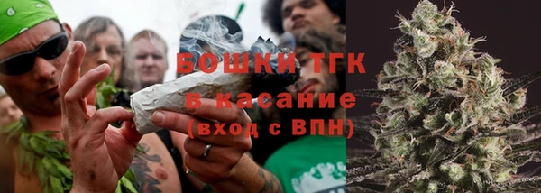 молекула духа Осинники