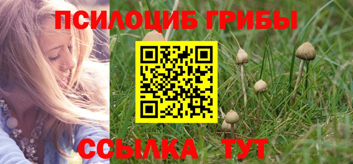 Галлюциногенные грибы GOLDEN TEACHER  Вход с VPN  Азов  цены наркотик  Псилоцибиновые грибы MAGIC MUSHROOMS 