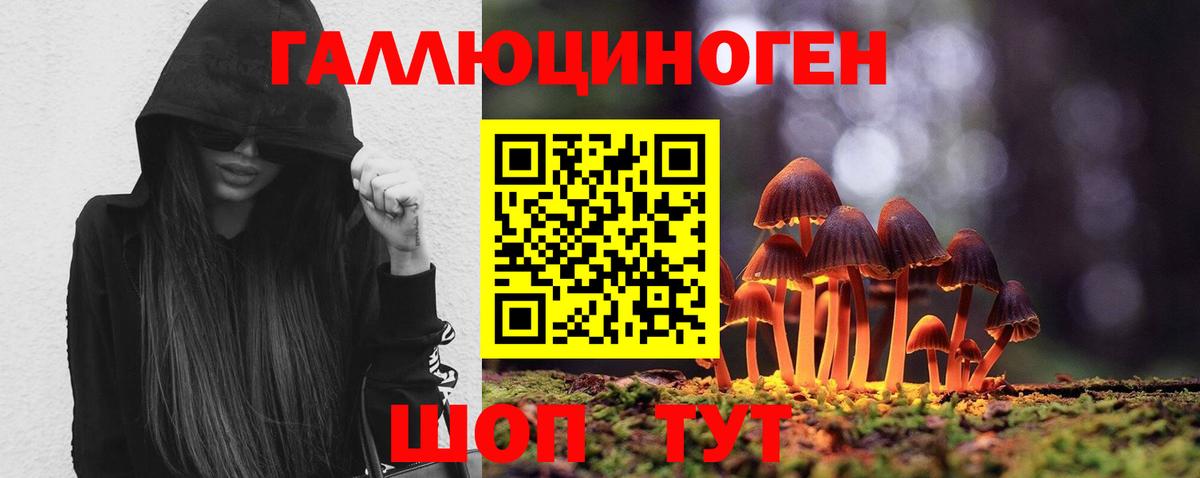 Галлюциногенные грибы GOLDEN TEACHER  Вход с VPN  Азов 