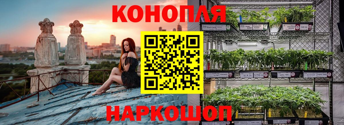 Каннабис индика Азов